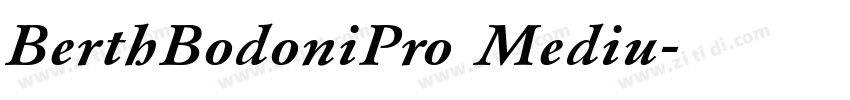 BerthBodoniPro Mediu字体转换